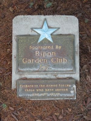 Blue Star Plaque image. Click for full size.