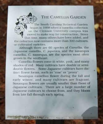 The Camellia Garden Marker image. Click for full size.