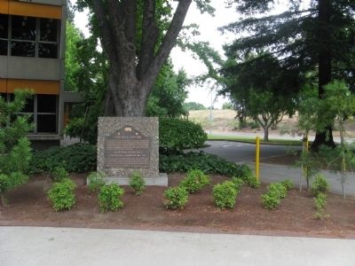 Five Mile Station Marker. Click for full size. Five Mile Station Marker image. Click for full size.
