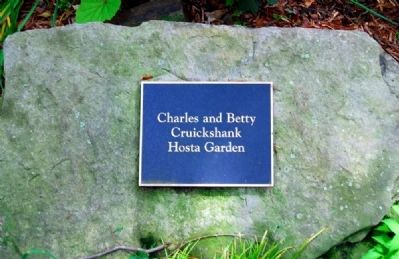 Chuck and Betty Cruickshank Hosta Garden Marker. Click for full size. Chuck and Betty Cruickshank Hosta Garden Marker image. Click for full size.