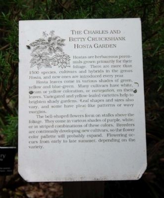 The Charles and Betty Cruickshank Hosta Garden Marker. Click for full size. The Charles and Betty Cruickshank Hosta Garden Marker image. Click for full size.
