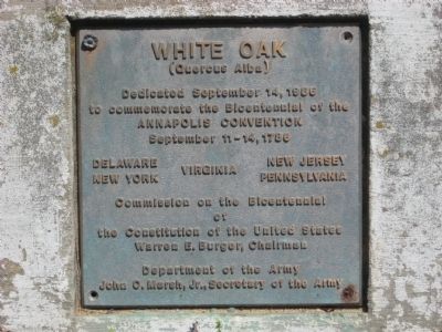 White Oak Marker. Click for full size. White Oak Marker image. Click for full size.