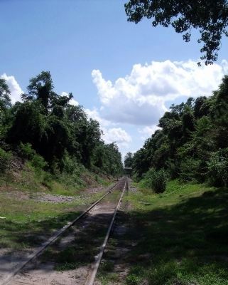 Railroad bed from City Point to Petersburg. image. Click for full size.