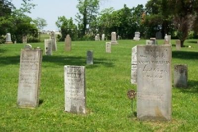 Williams Family Headstones in Williamsville Cemetery image. Click for full size.