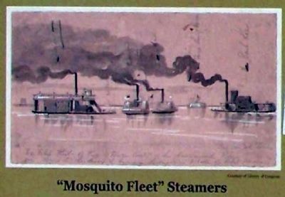 "Mosquito Fleet" Steamers image. Click for full size.