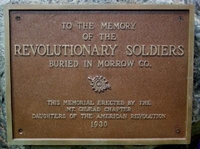 D.A.R. Revolutionary Soldiers Memorial image. Click for full size.