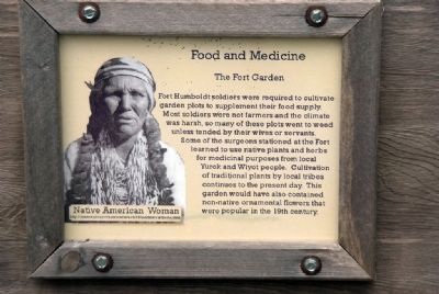 Food and Medicine - The Fort Garden image. Click for full size.