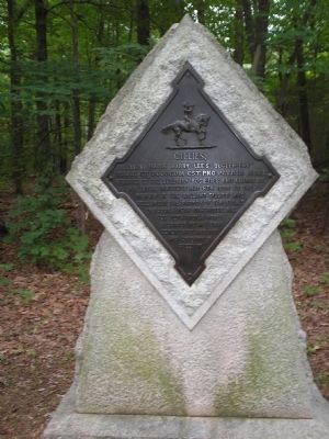 Gillies Marker. Click for full size. Gillies Marker image. Click for full size.