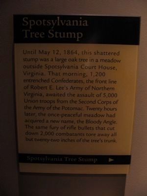 Spotsylvania Tree Stup image. Click for full size.