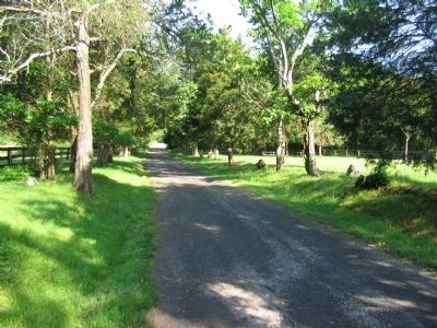 The Graveled Section of Old Vestal's Gap Road. Click for full size. The Graveled Section of Old Vestal's Gap Road image. Click for full size.