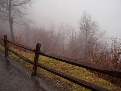 View from top of The Great Smoky Mountain image. Click for full size.