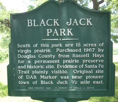 Black Jack Park Marker. Click for full size. Black Jack Park Marker image. Click for full size.