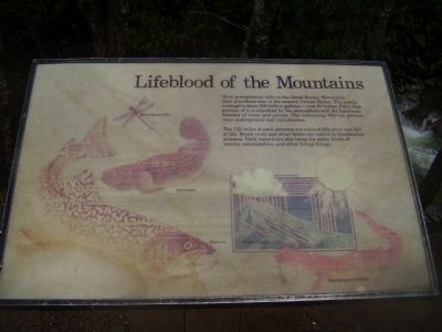 Lifeblood of the Mountains Marker. Click for full size. Lifeblood of the Mountains Marker image. Click for full size.