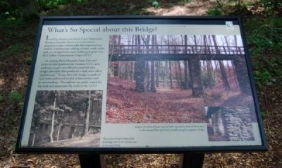 What's So Special About this Bridge? Marker image. Click for full size.
