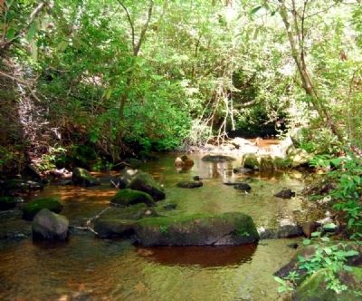 Sulphur Springs. Click for full size. Sulphur Springs image. Click for full size.