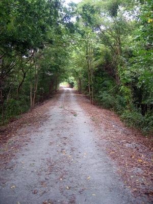 Richmond & Danville Railroad bed.. Click for full size. Richmond & Danville Railroad bed. image. Click for full size.