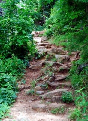 Path Leading Around the North Shore of the Lake. Click for full size. Path Leading Around the North Shore of the Lake image. Click for full size.
