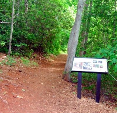 Lake Placid Trail: A Walk on the Wild Side Marker and Trail. Click for full size. Lake Placid Trail: A Walk on the Wild Side Marker and Trail image. Click for full size.
