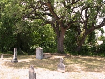Marker (center by tree) in front of common grave image. Click for full size.