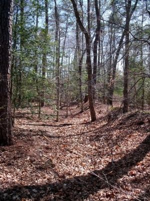 Confederate earthworks at Fussell's Mill. image. Click for full size.