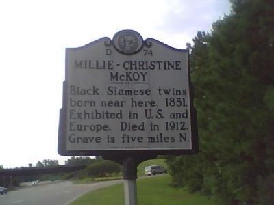 Millie ~ Christine McKoy Marker image. Click for full size.