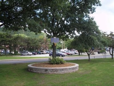 Banach Olympic Circle image. Click for full size.