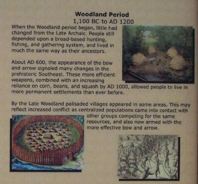 Upper right side pictures; Woodland Period image. Click for full size.