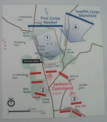 Map of the Action in the Cornfield. Click for full size. Map of the Action in the Cornfield image. Click for full size.