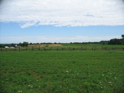 The Cornfield. Click for full size. The Cornfield image. Click for full size.