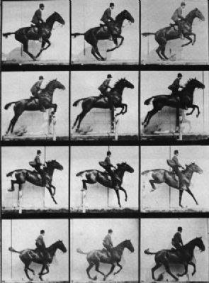 Sequence of a Horse Jumping image. Click for full size.
