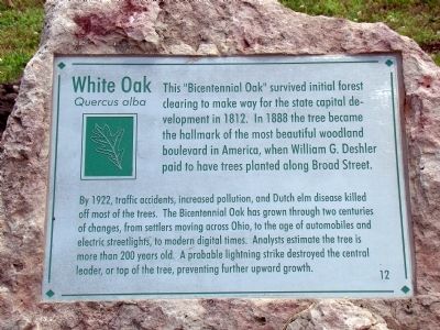 White Oak Marker image. Click for full size.