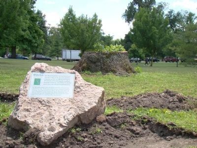 White Oak Marker and Stump image. Click for full size.