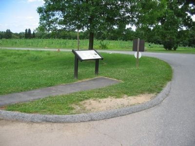 The East Woods Wayside. Click for full size. The East Woods Wayside image. Click for full size.