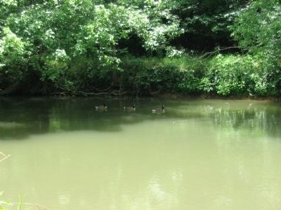 Geese on the Antietam image. Click for full size.
