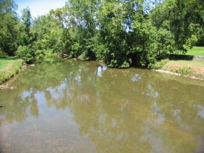 Calm Stream on a Typical Summer Day image. Click for full size.