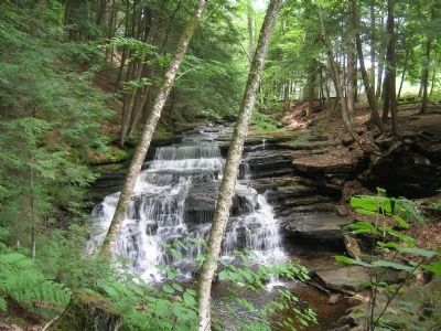 Beecher Creek Falls & Copeland Carriage Shop. Click for full size. Beecher Creek Falls & Copeland Carriage Shop image. Click for full size.