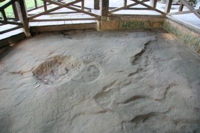 Leo Petroglyph image. Click for full size.