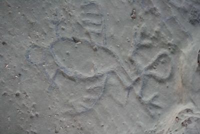 Leo Petroglyph image. Click for full size.