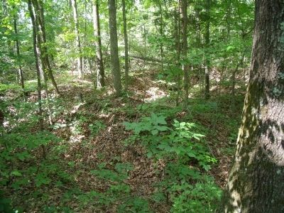 Nearby Confederate earthworks with traverses image. Click for full size.