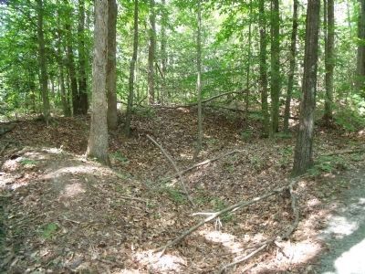 Nearby Confederate trenchline. image. Click for full size.