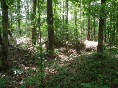 Nearby Confederate Trenchline. Click for full size. Nearby Confederate Trenchline image. Click for full size.