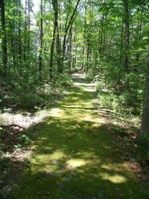 North Anna Battlefield Park Walking Trail. image. Click for full size.
