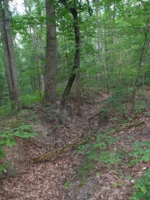 Confederate trenchline overlooking Ox Ford. Click for full size. Confederate trenchline overlooking Ox Ford image. Click for full size.