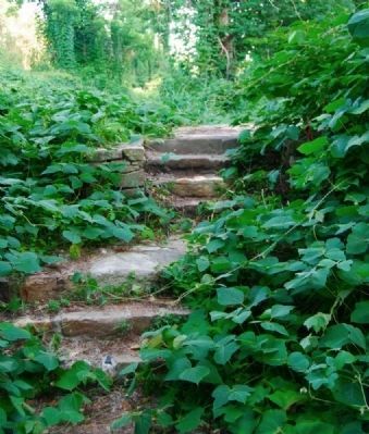 Steps Leading to the Campbell Mill Ruins image. Click for full size.