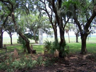 Fort San Marcos & The Ribaut Monument as seen from Belleau Wood Rd. Circle image. Click for full size.