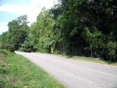 Trices Lake Rd & Flanagan Mill Rd (facing north). image. Click for full size.