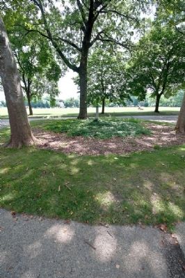 The old rose garden has been neglected and become overgrown. Click for full size. The old rose garden has been neglected and become overgrown image. Click for full size.
