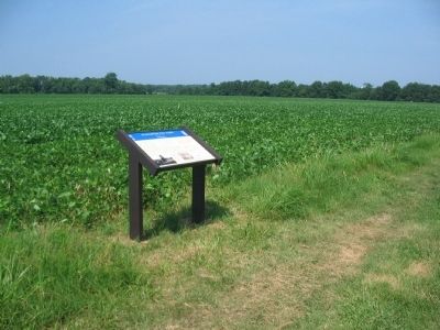 Fourth Wayside on the Slaughter Pen Farm Trail. Click for full size. Fourth Wayside on the Slaughter Pen Farm Trail image. Click for full size.