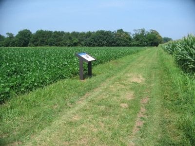 Fifth Wayside on the Slaughter Pen Farm Trail image. Click for full size.