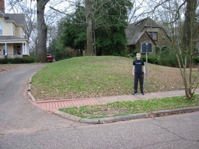 The remaining mound on Mound Street, Nacogdoches, TX image. Click for full size.
